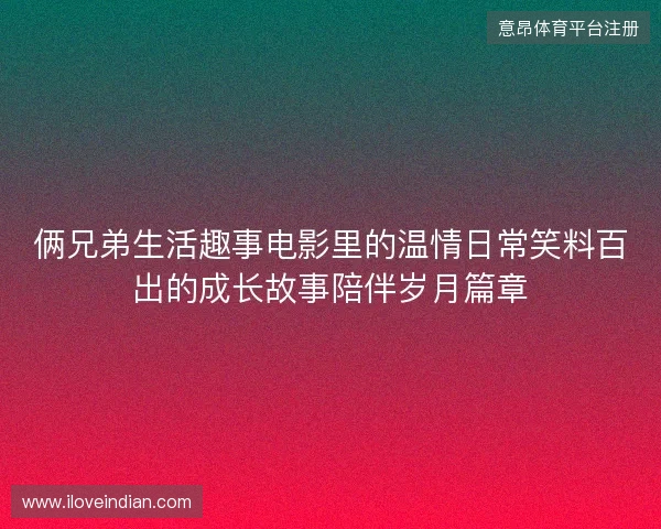 俩兄弟生活趣事电影里的温情日常笑料百出的成长故事陪伴岁月篇章